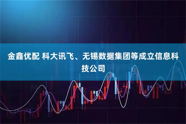 金鑫优配 科大讯飞、无锡数据集团等成立信息科技公司