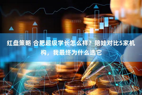 红盘策略 合肥超级学长怎么样？陪娃对比5家机构，我最终为什么选它